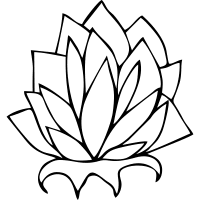 1585676-200